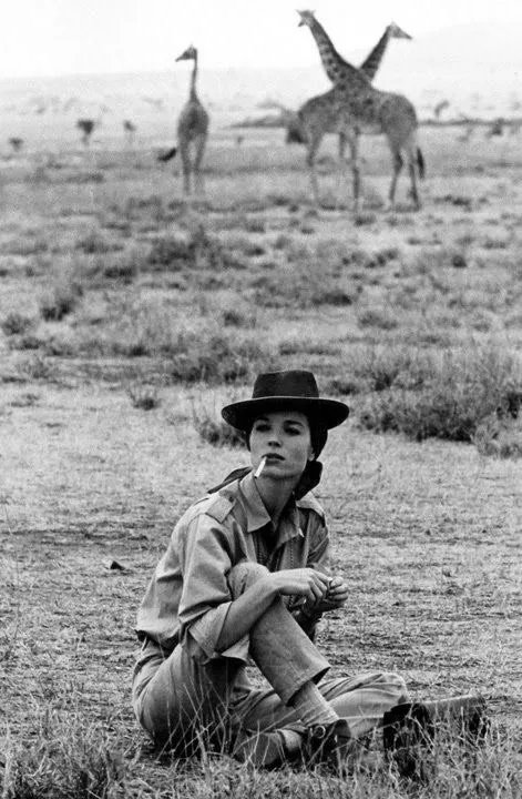 Девушка в стиле сафари сидит на земле, позади жирафы