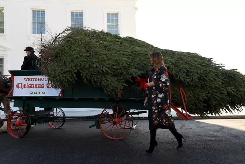 Мелания Трамп в цветочном пальто сопровождает новооднию елку