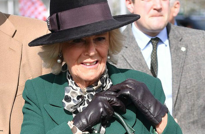 Английская герцогиня Камилла в зеленом пальто, черных сапогах и милом платье в горошек