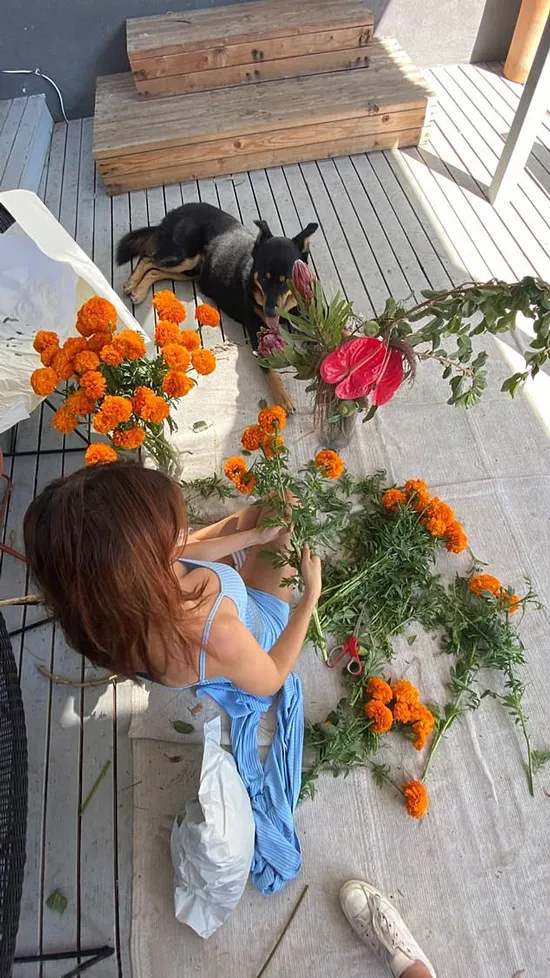 Эмили Ратаковски рассматривает цветы