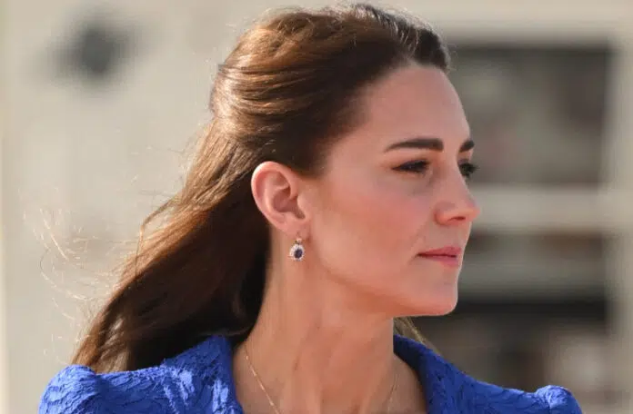 День первый: герцогиня Кейт в образе королевского оттенка и милой прической начинает тур