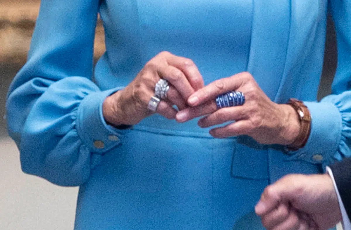 Брижит Макрон в голубом платье и натуральным коротким маникюром