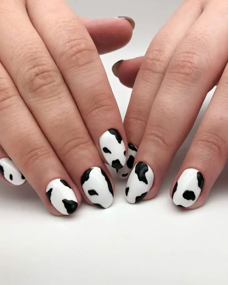 Белый маникюр с черным коровьим принтом на овальных коротких ногтях