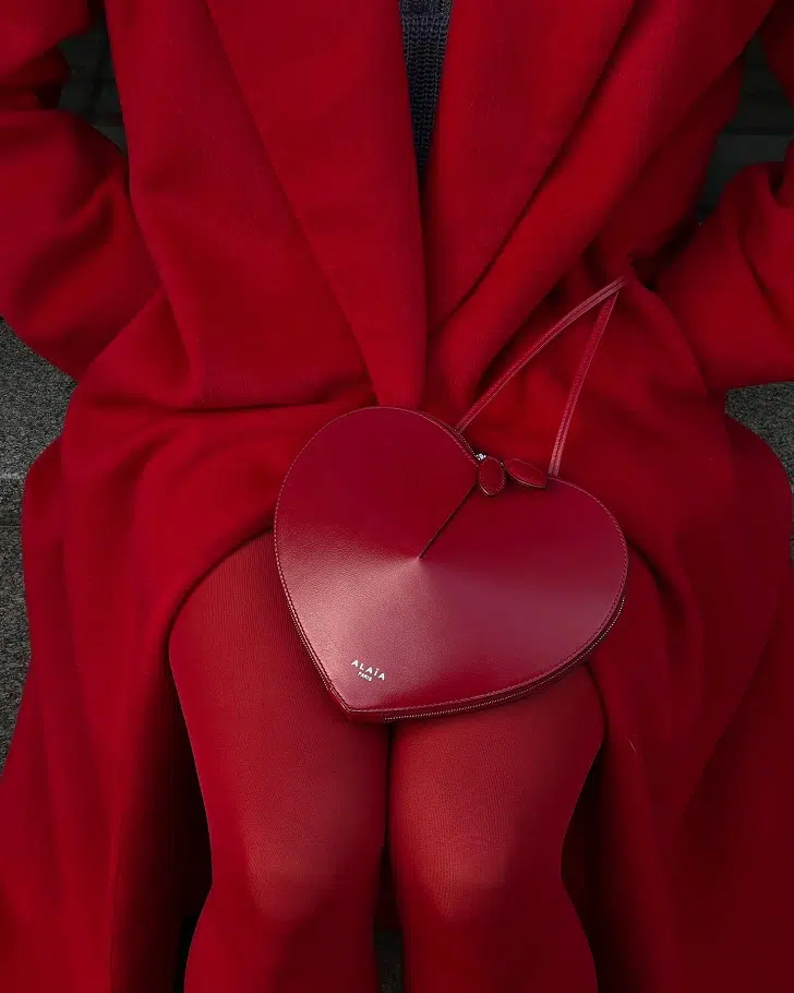 Красная сумка сердце